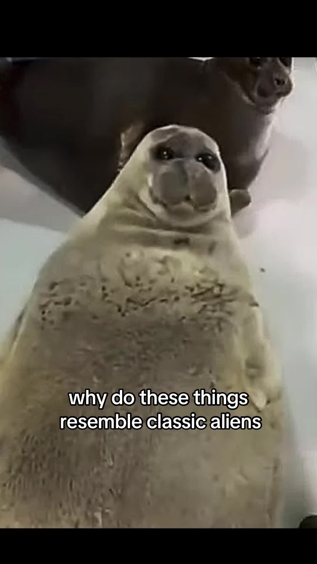 @River