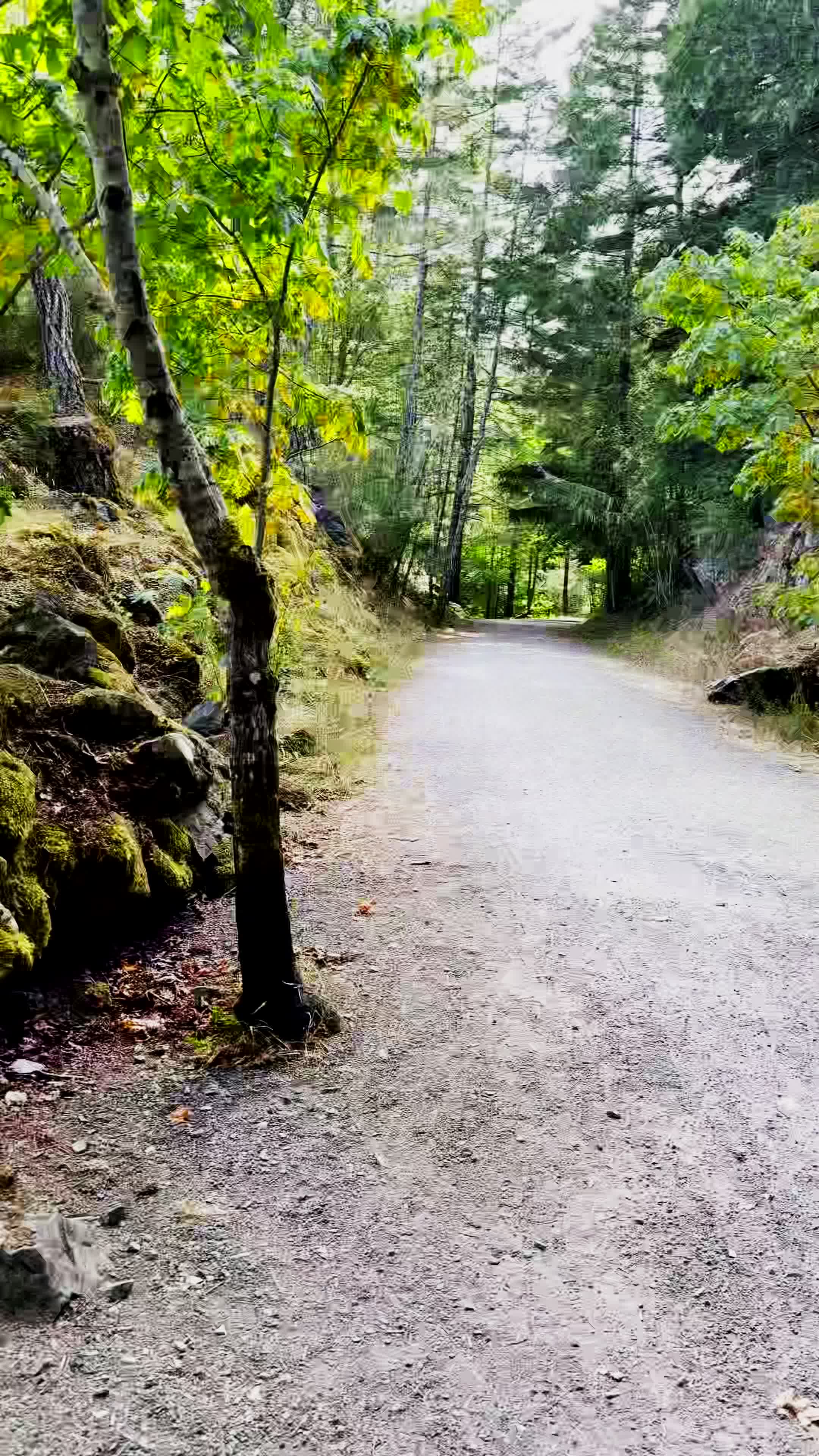 @SPLORGVISION🇨🇦 ❌
