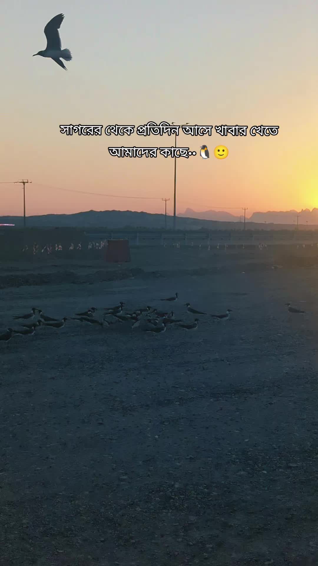 @O W A J I B 🇸🇦