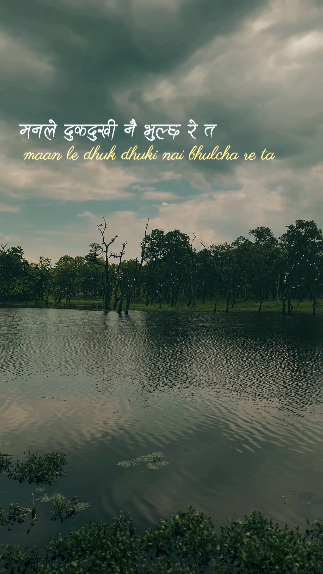 @amit_adas