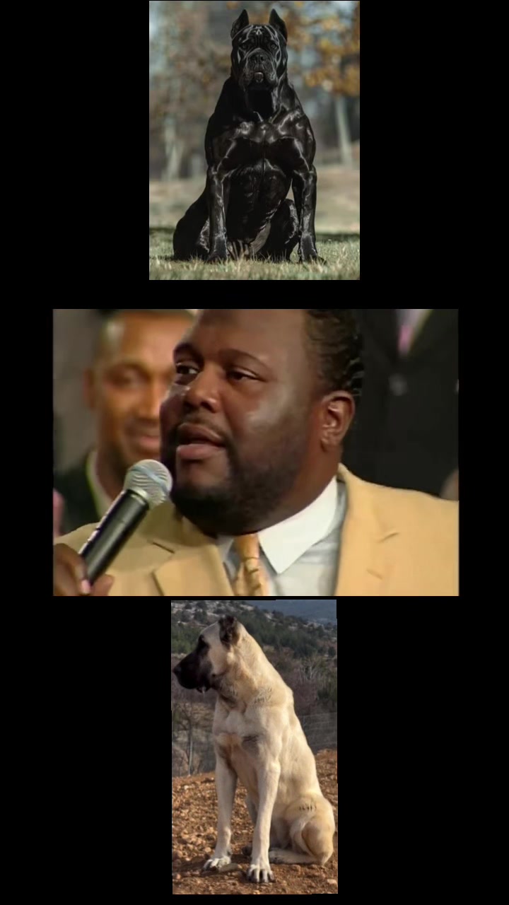 @Ultimate Puppies