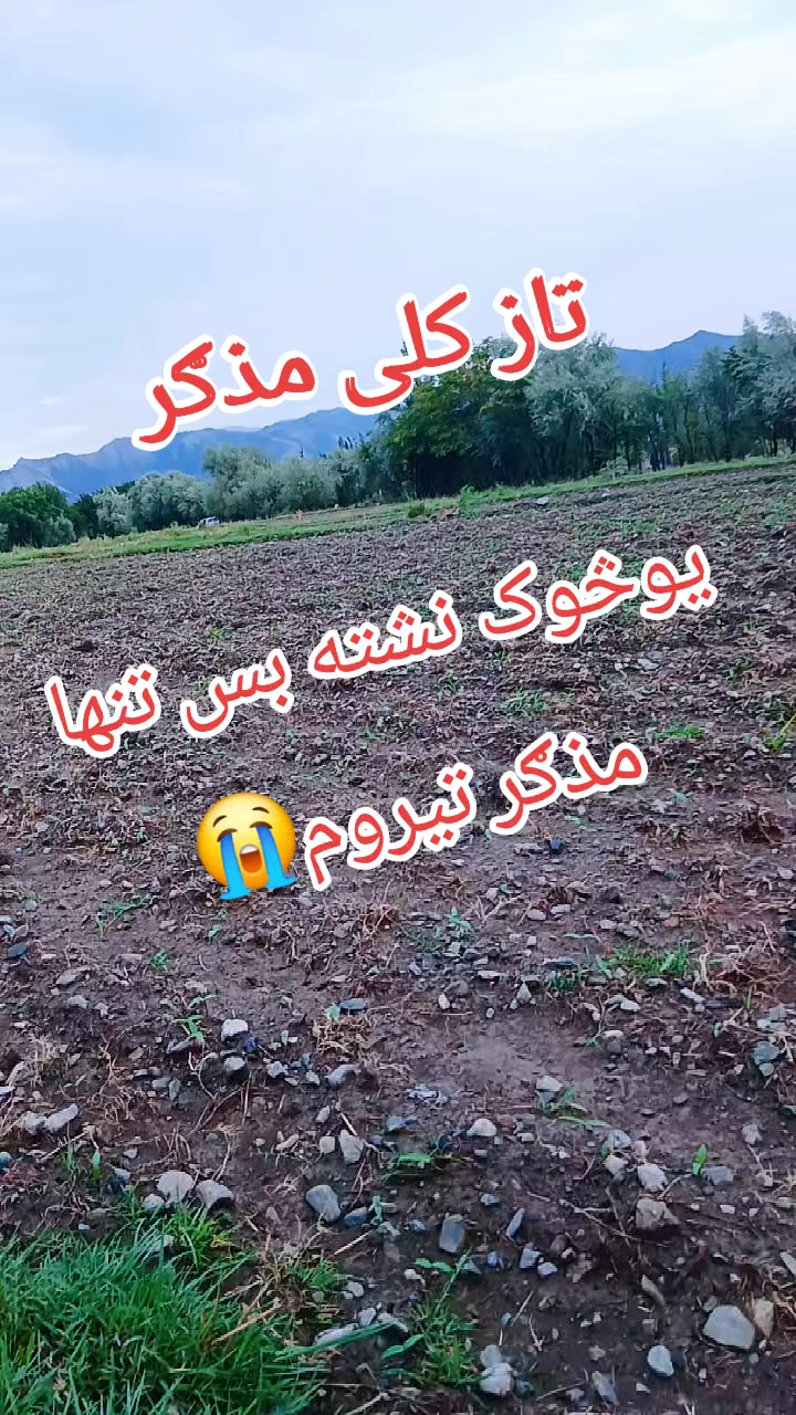 @Arman Phasha