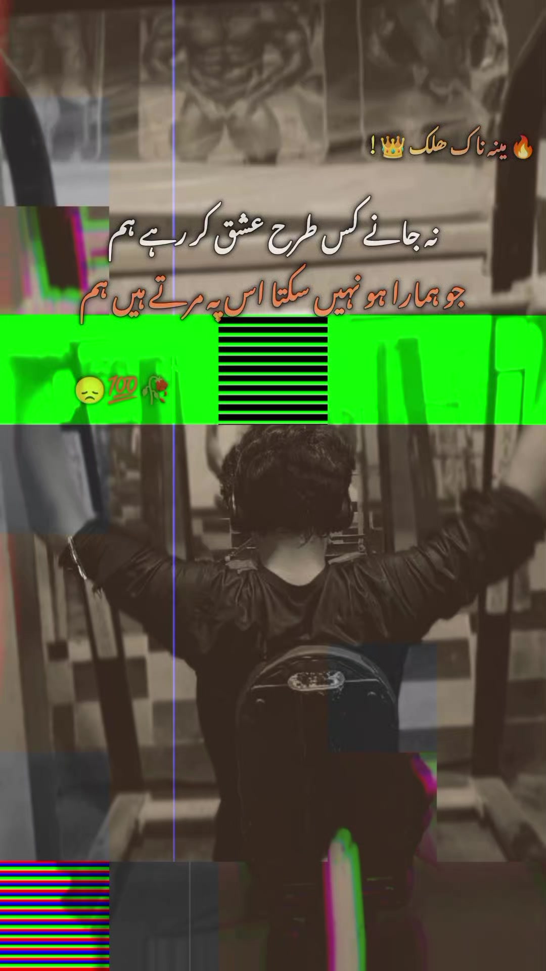 @👑 ہاتھیان کینگ🍃👑