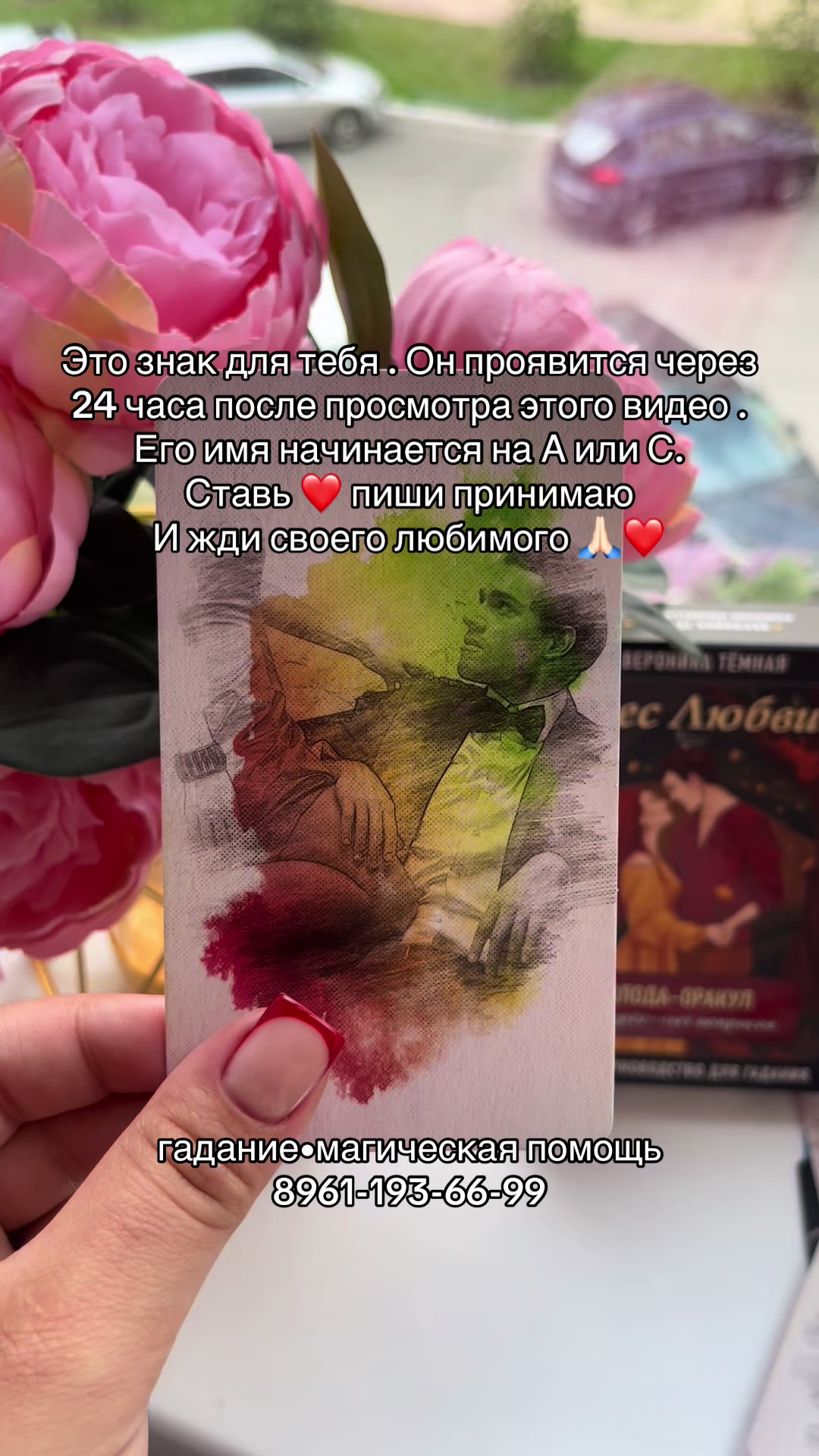 @gadanie.eelina