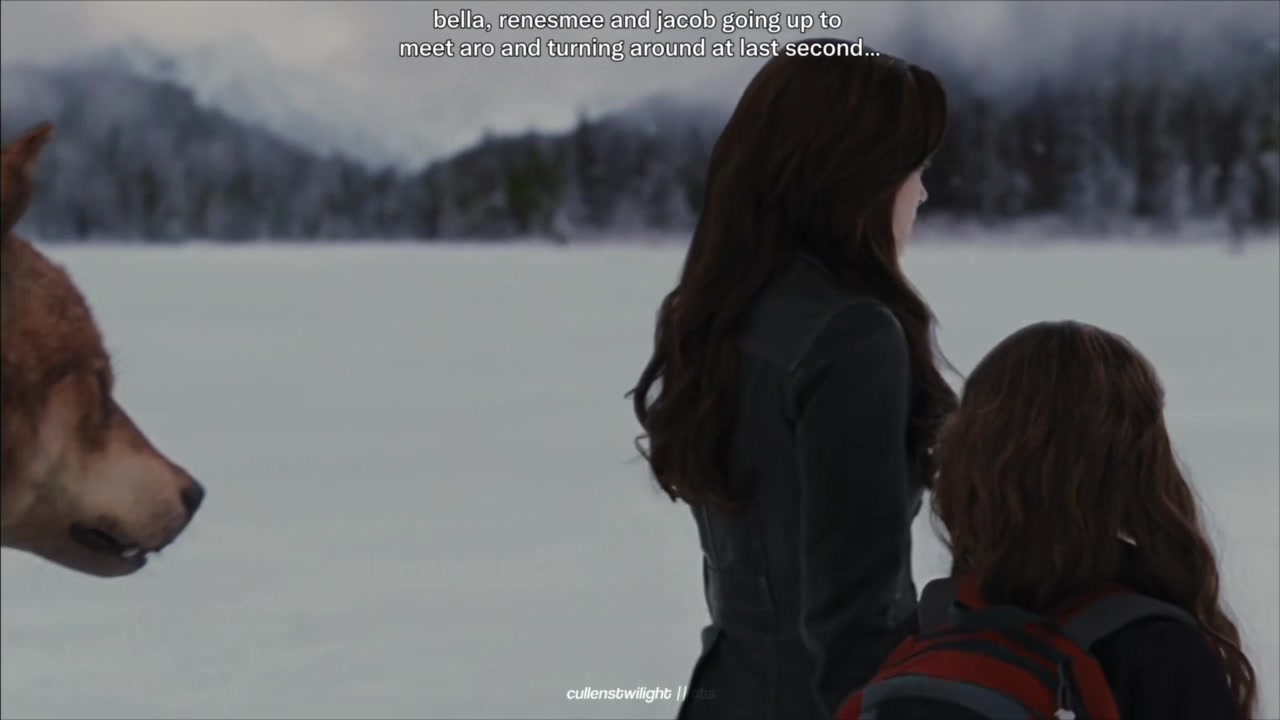 @ꩇׁׅ݊ɑׁׅ֮ꫀׁׅ || twilight saga ❦