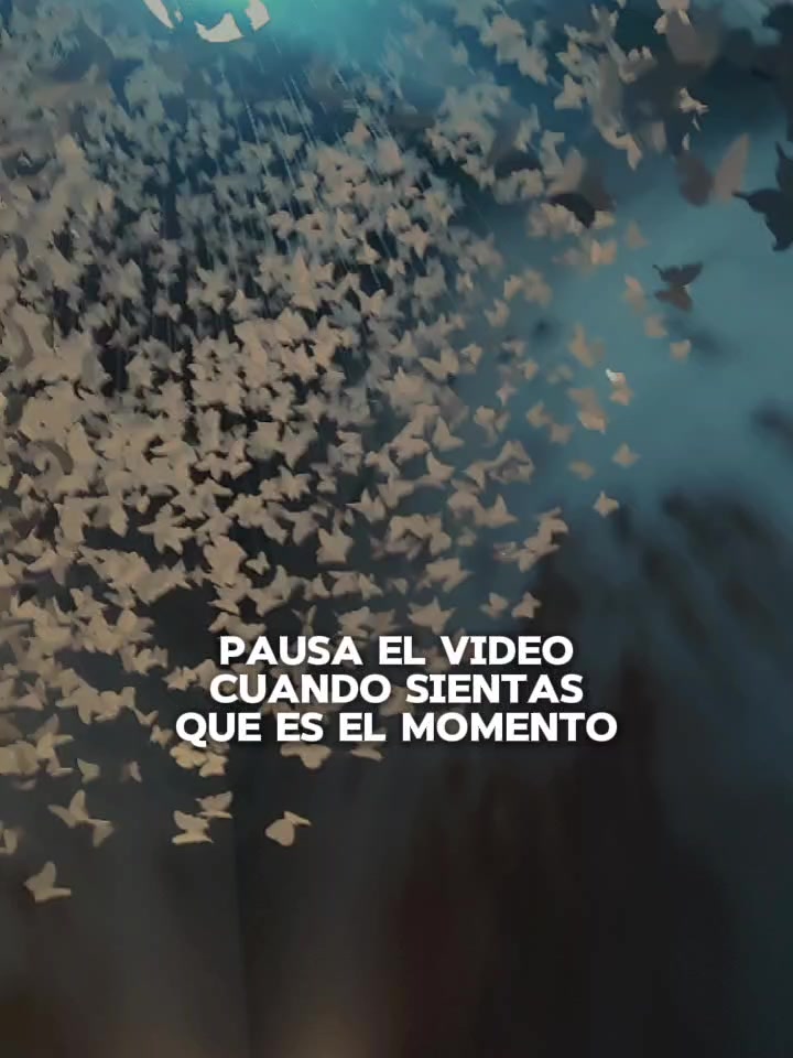 @maestrayos1