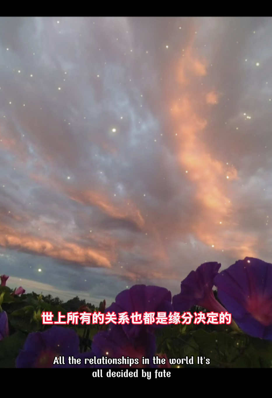 @能量姐