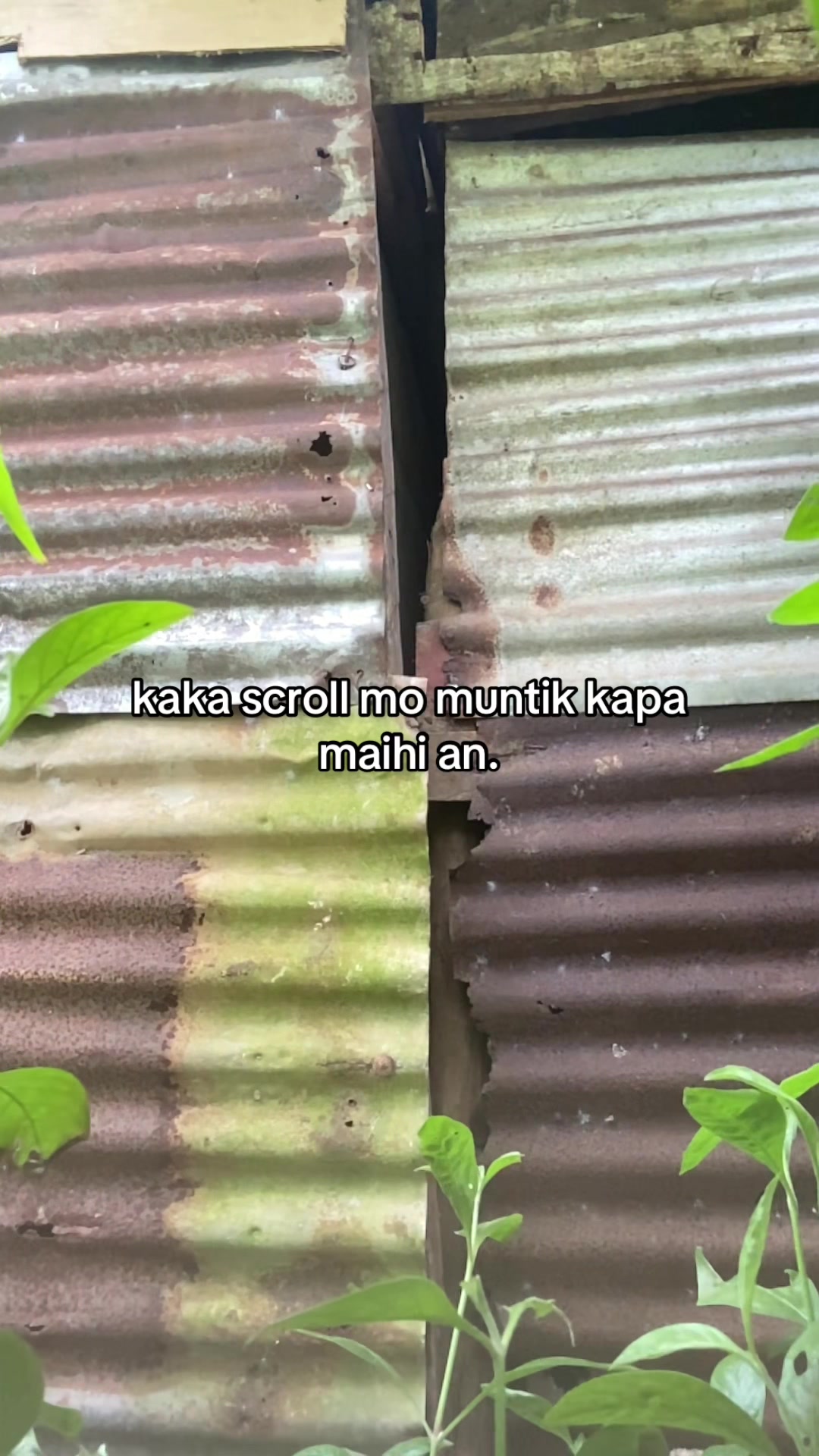 @Mateo