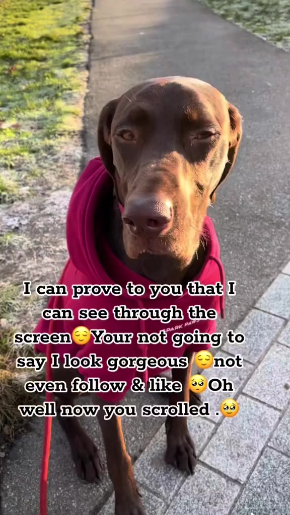 @Rocky_and_mom 🐾❤️🐶