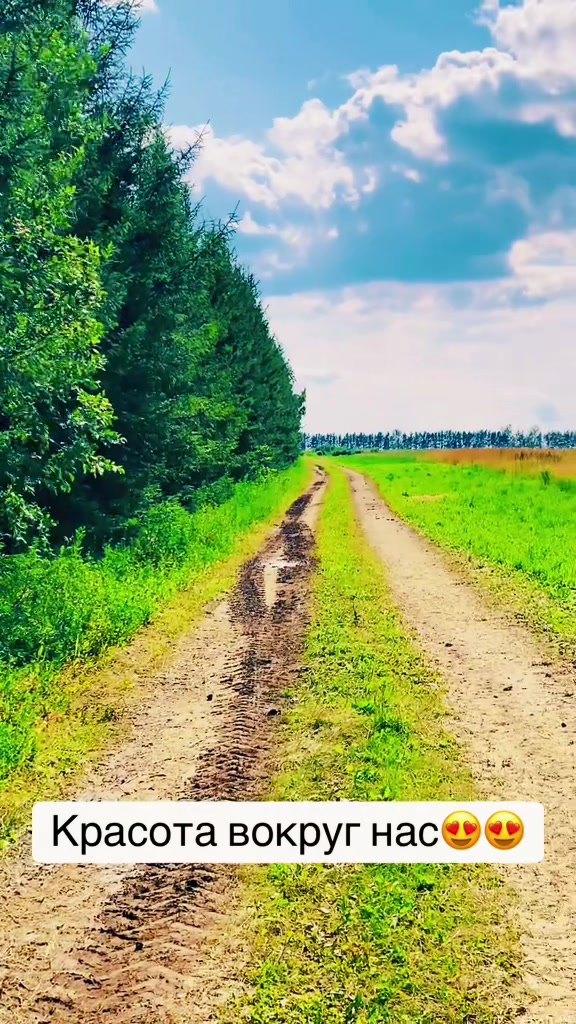 @_volodya21_