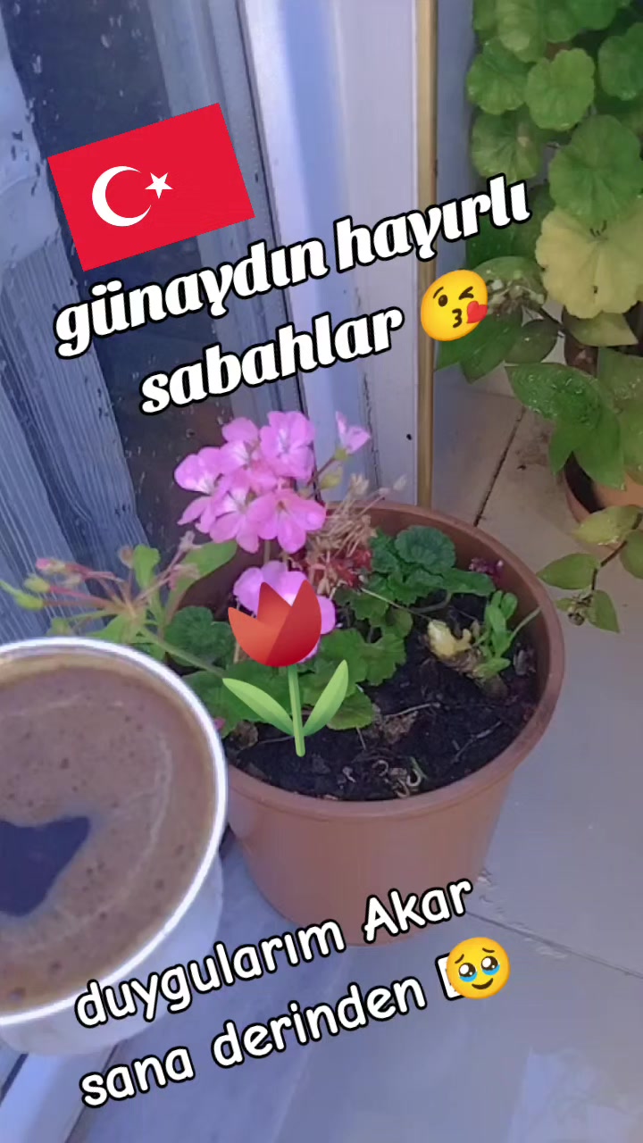 @her yüzüne gülene dost sanma