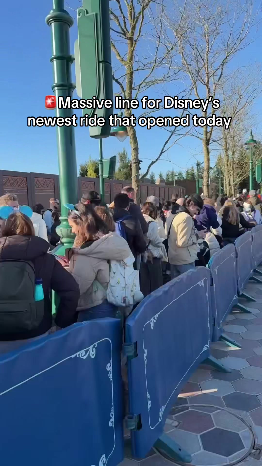@Mickey Visit: Disney Guide!