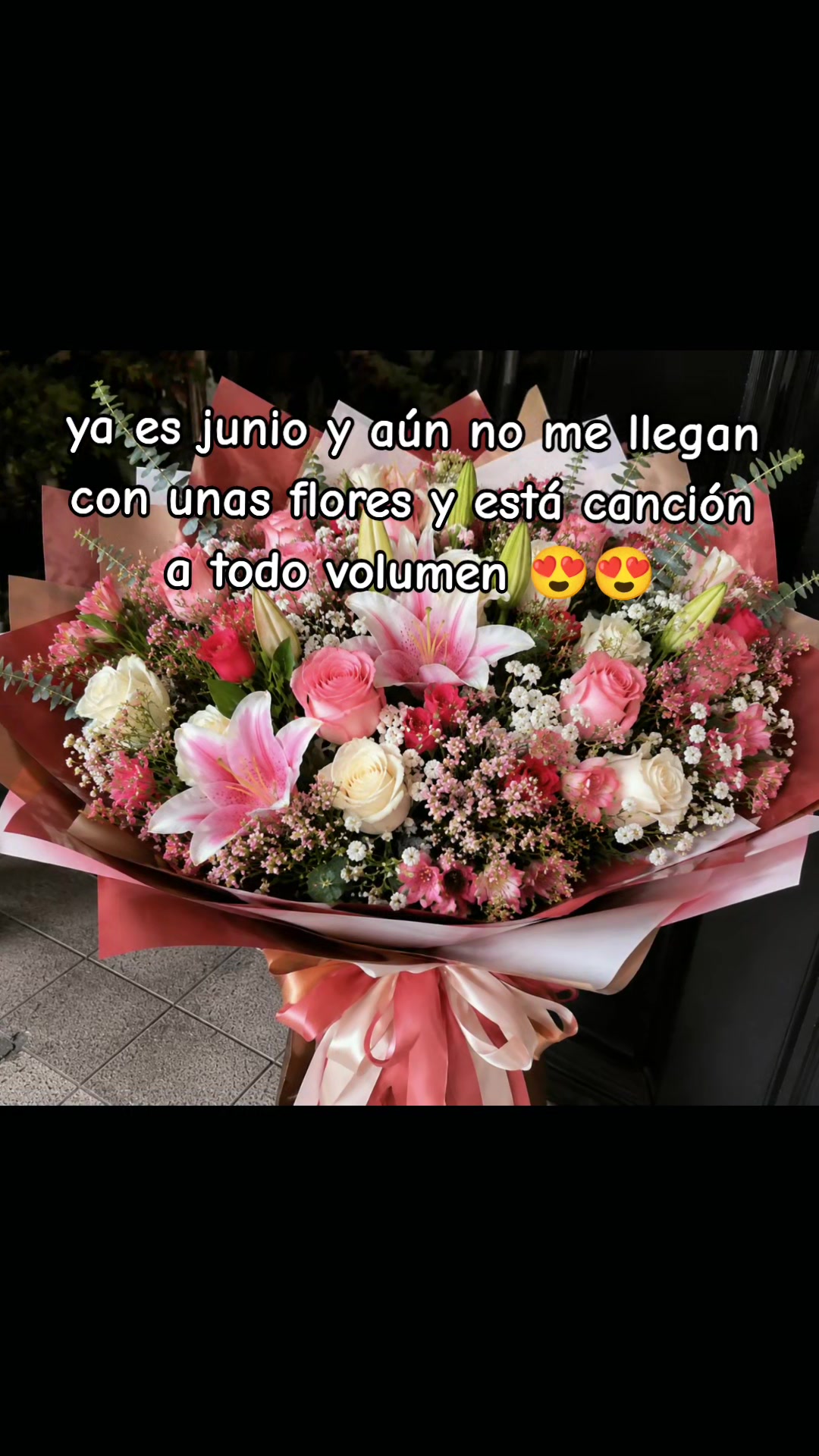 @Rossy Naviidad