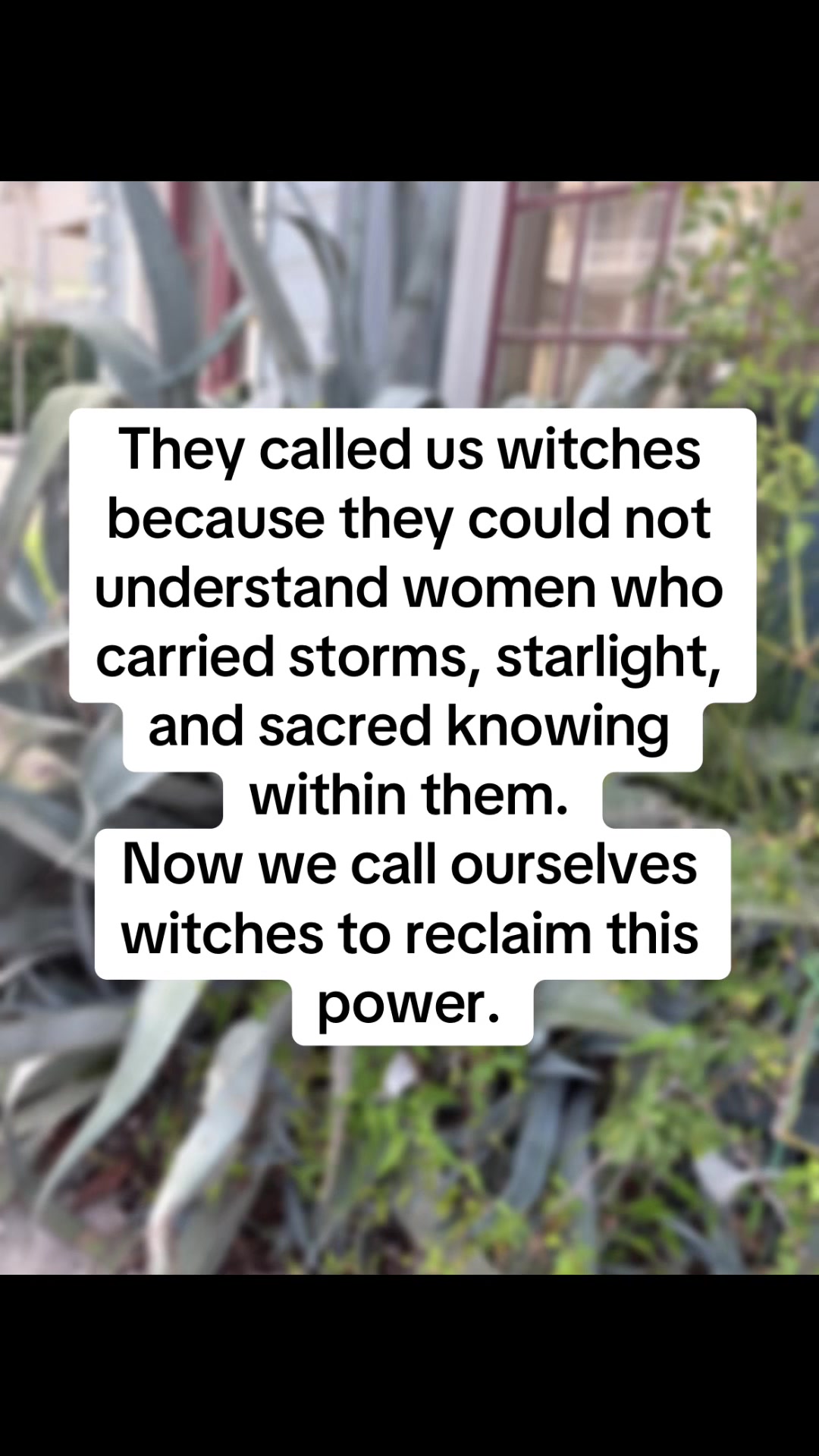 @The🧿OG🖤TikTok🖤Witch