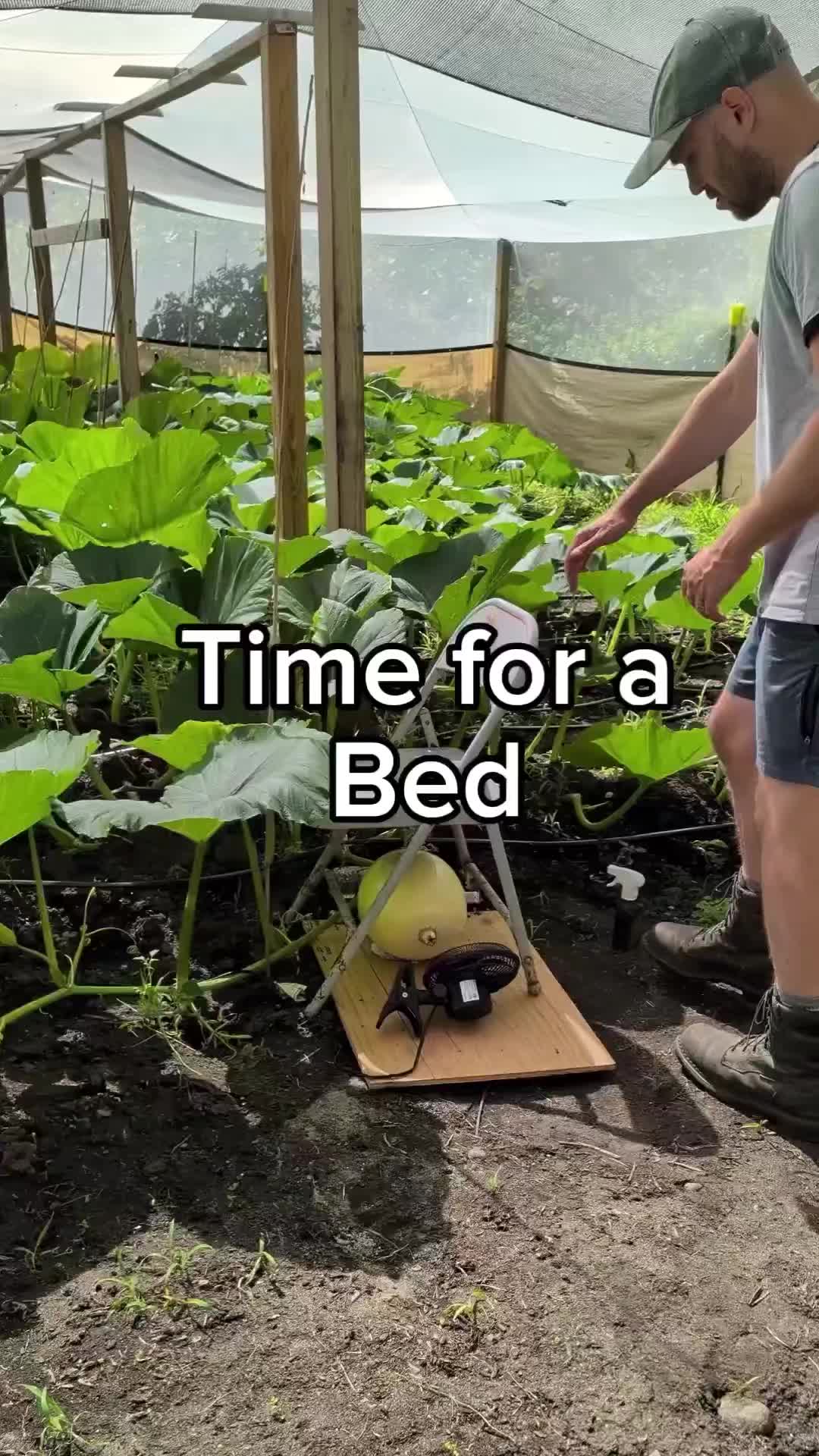 @bigpumpki