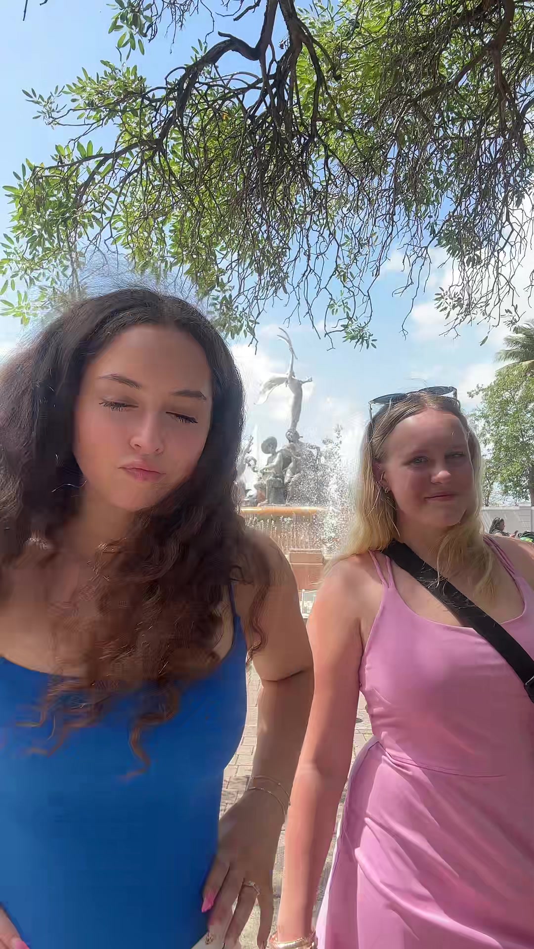 @haven.isais