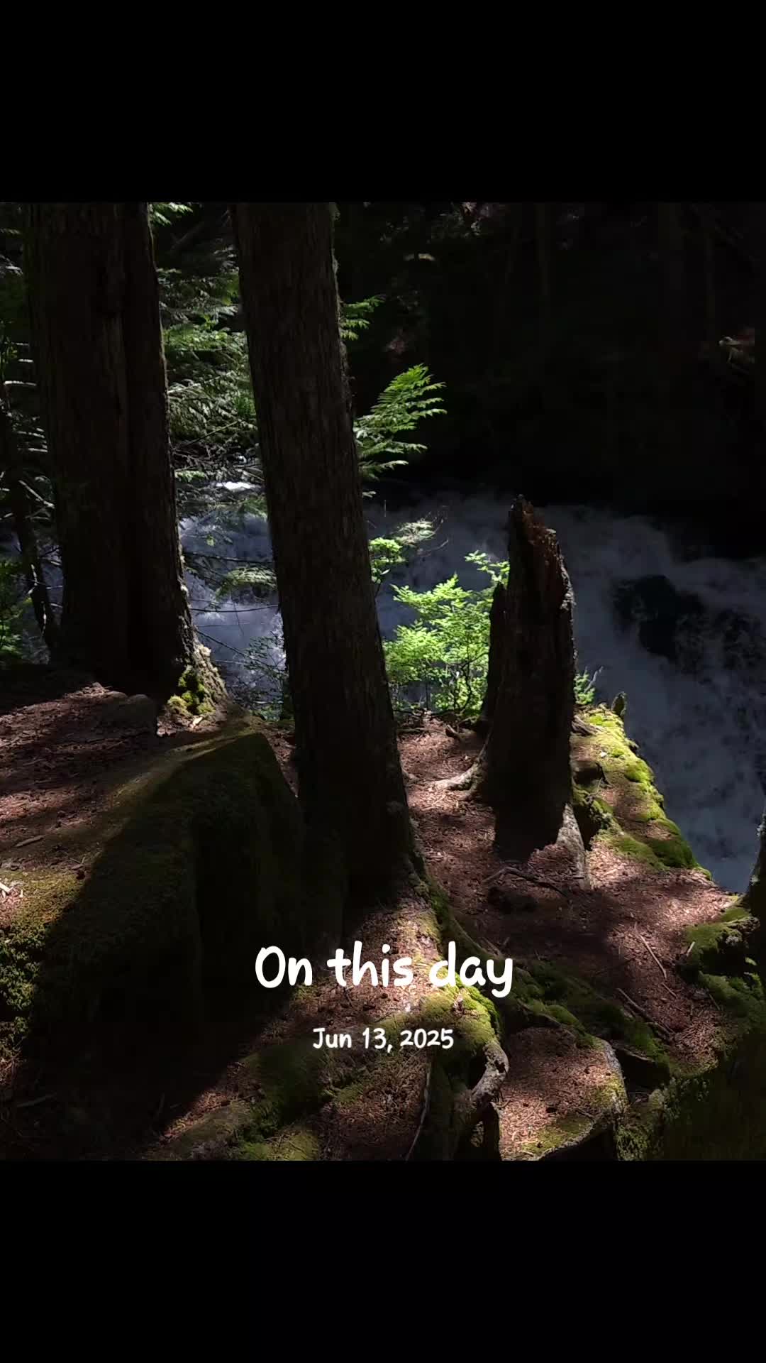 @Nicole🌲🏔🥾|PNW|