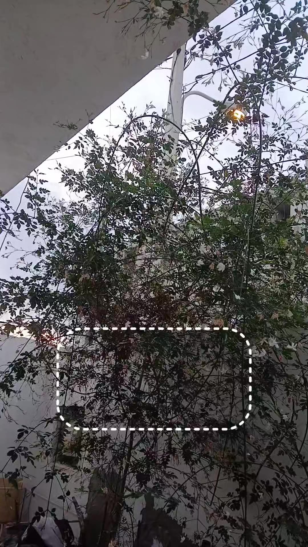 @يُسْرَىَ💞
