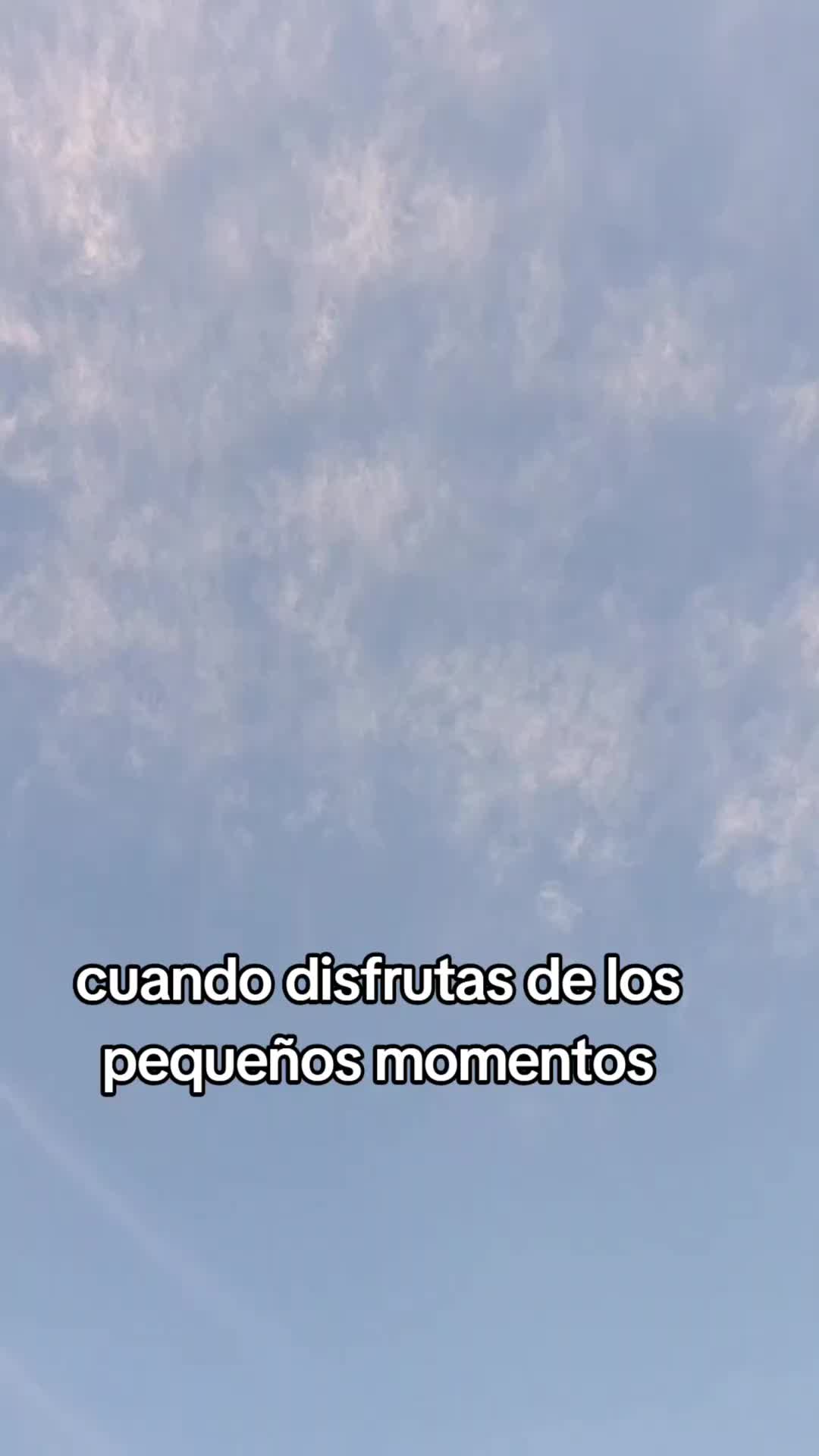 @Isabel Landa