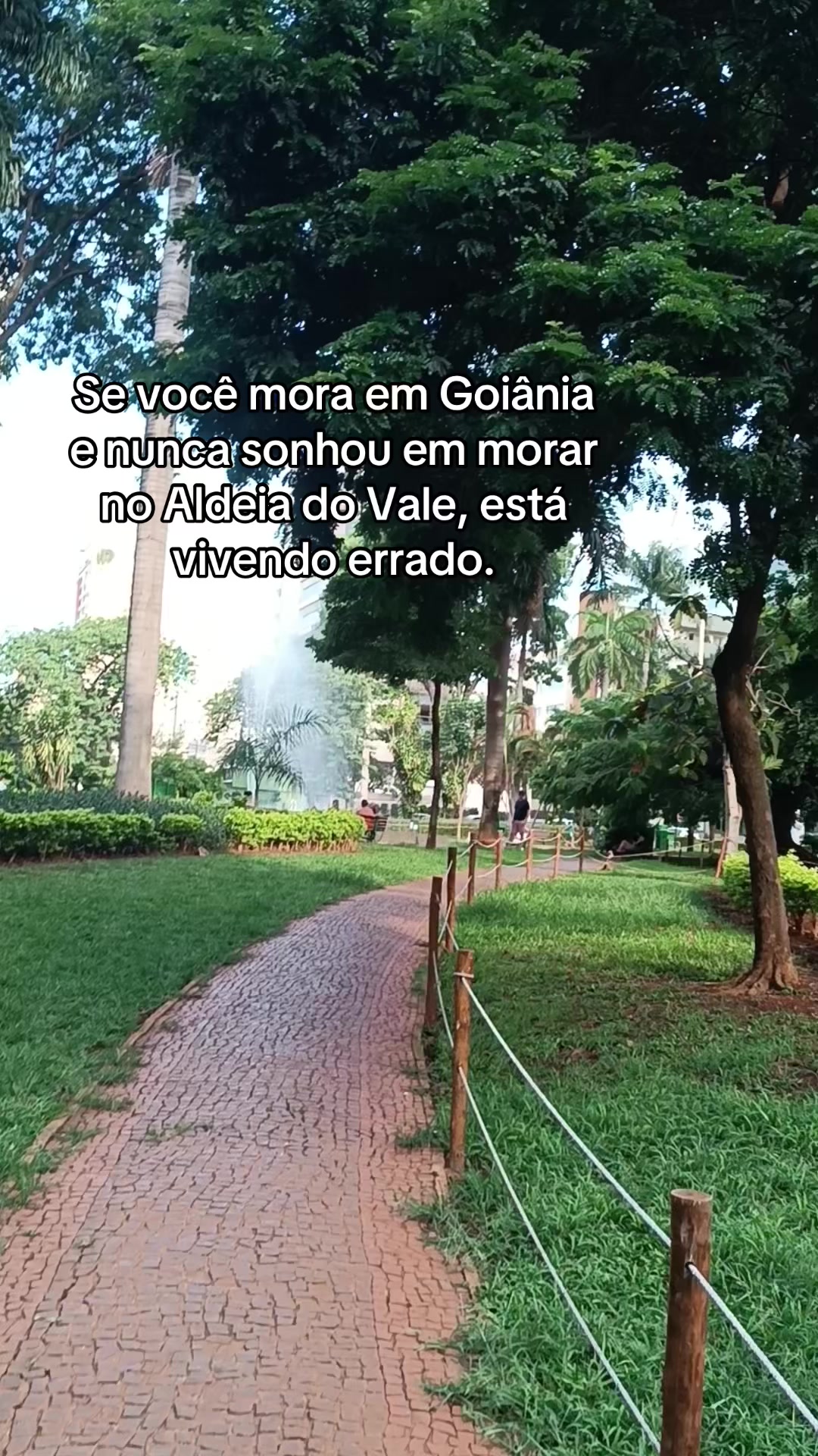 @Paixão Goiana