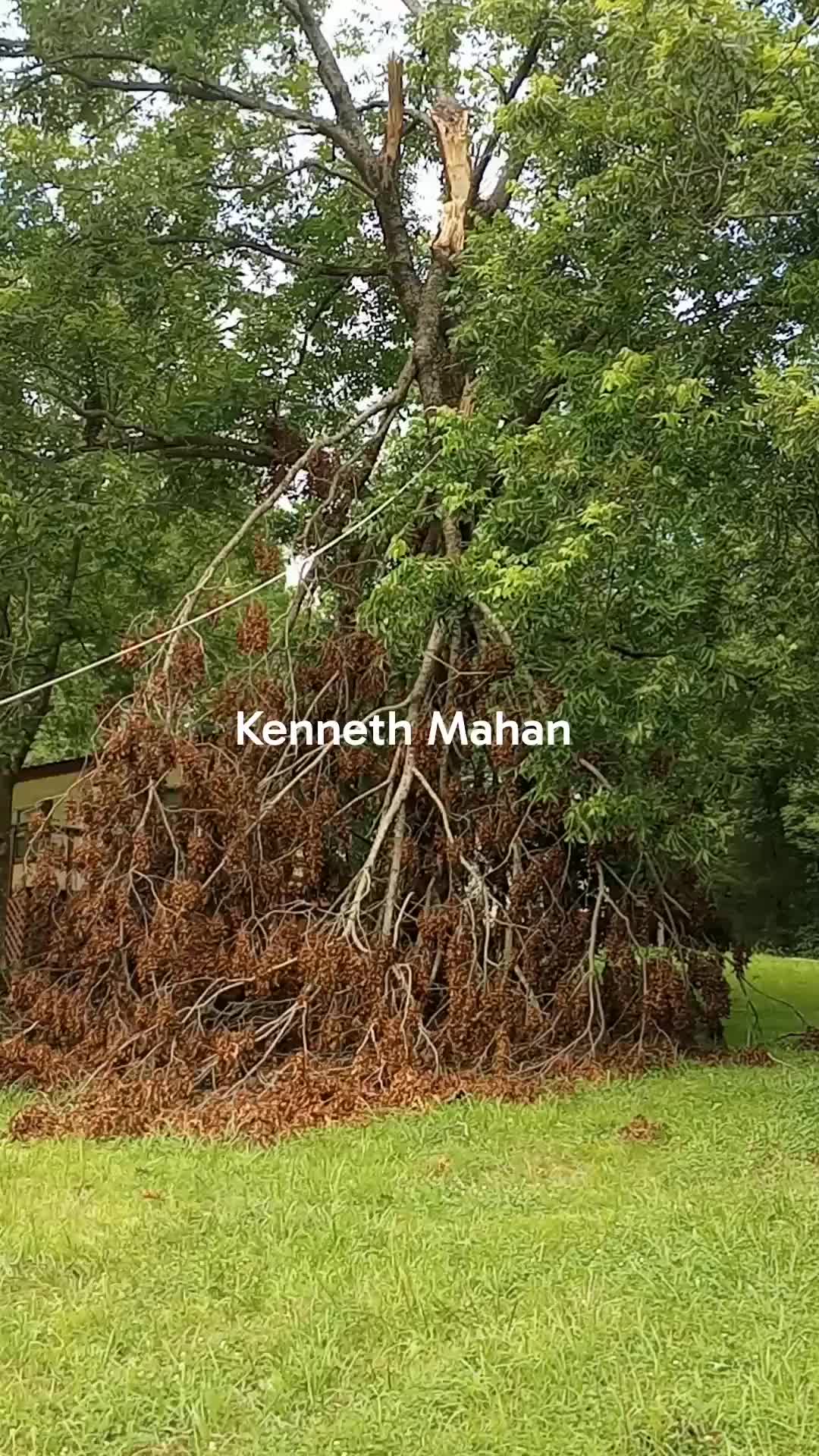 @kennethmahan822