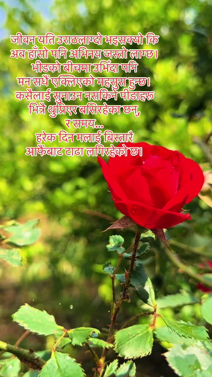 @Abhinandan_khadka