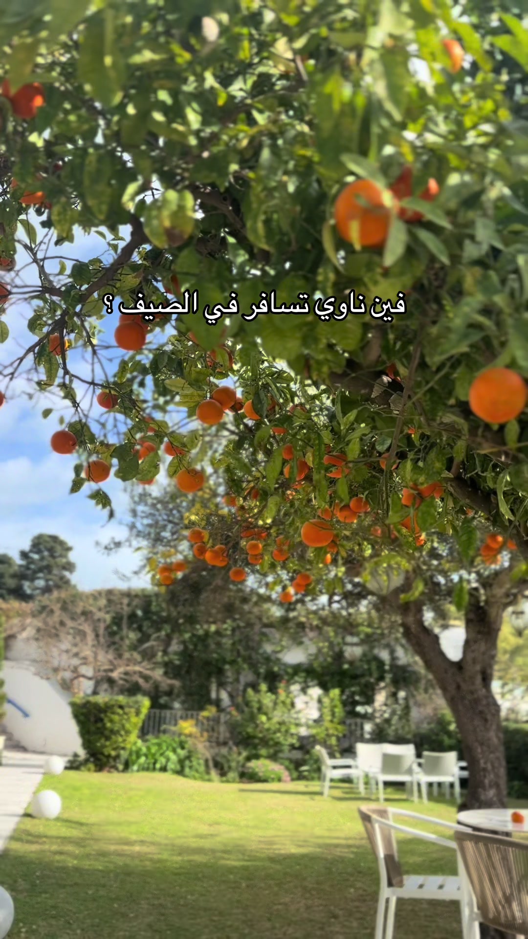 @صفاء لايف | Safaa.live