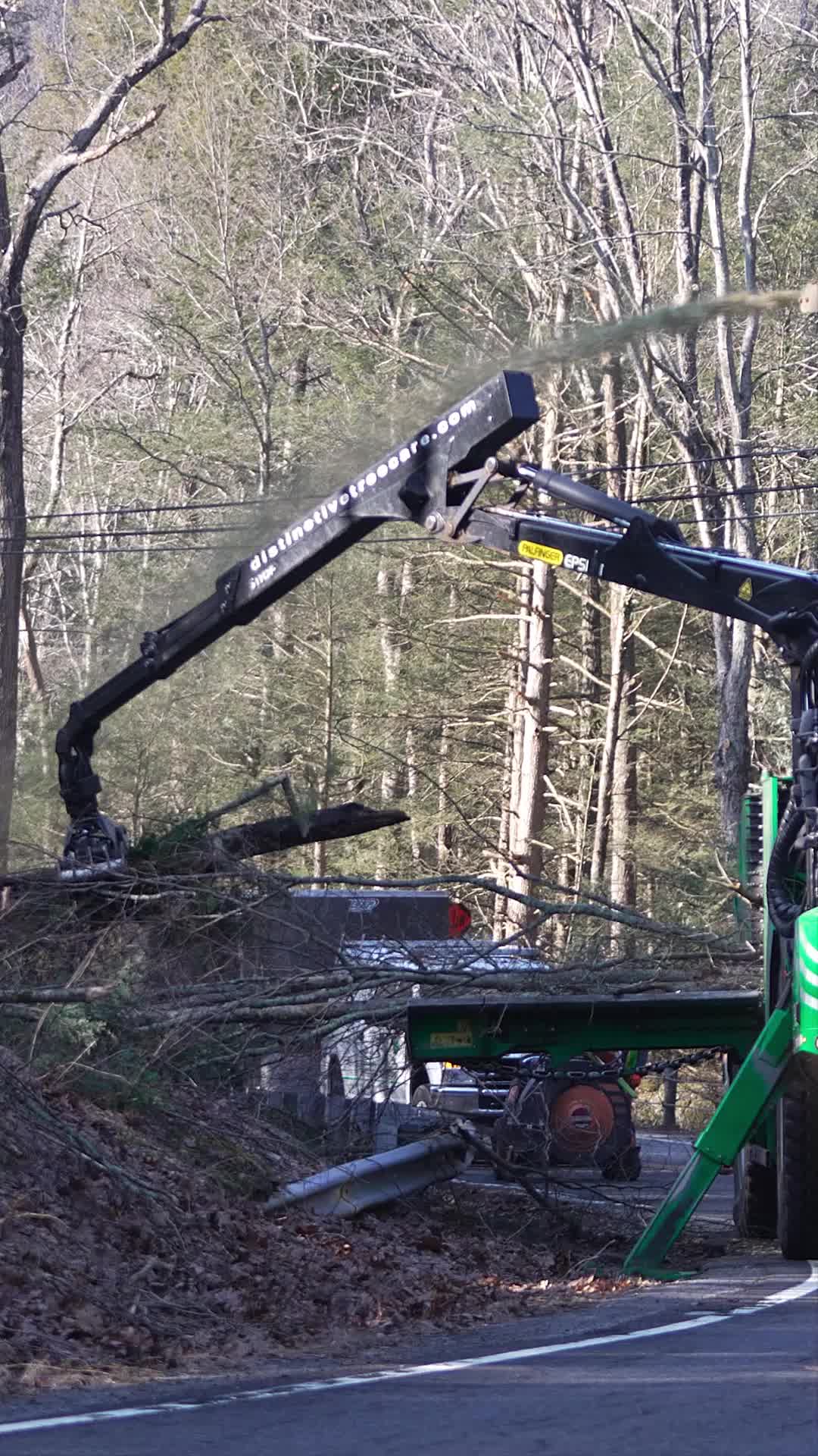 @DistinctiveTreeCare