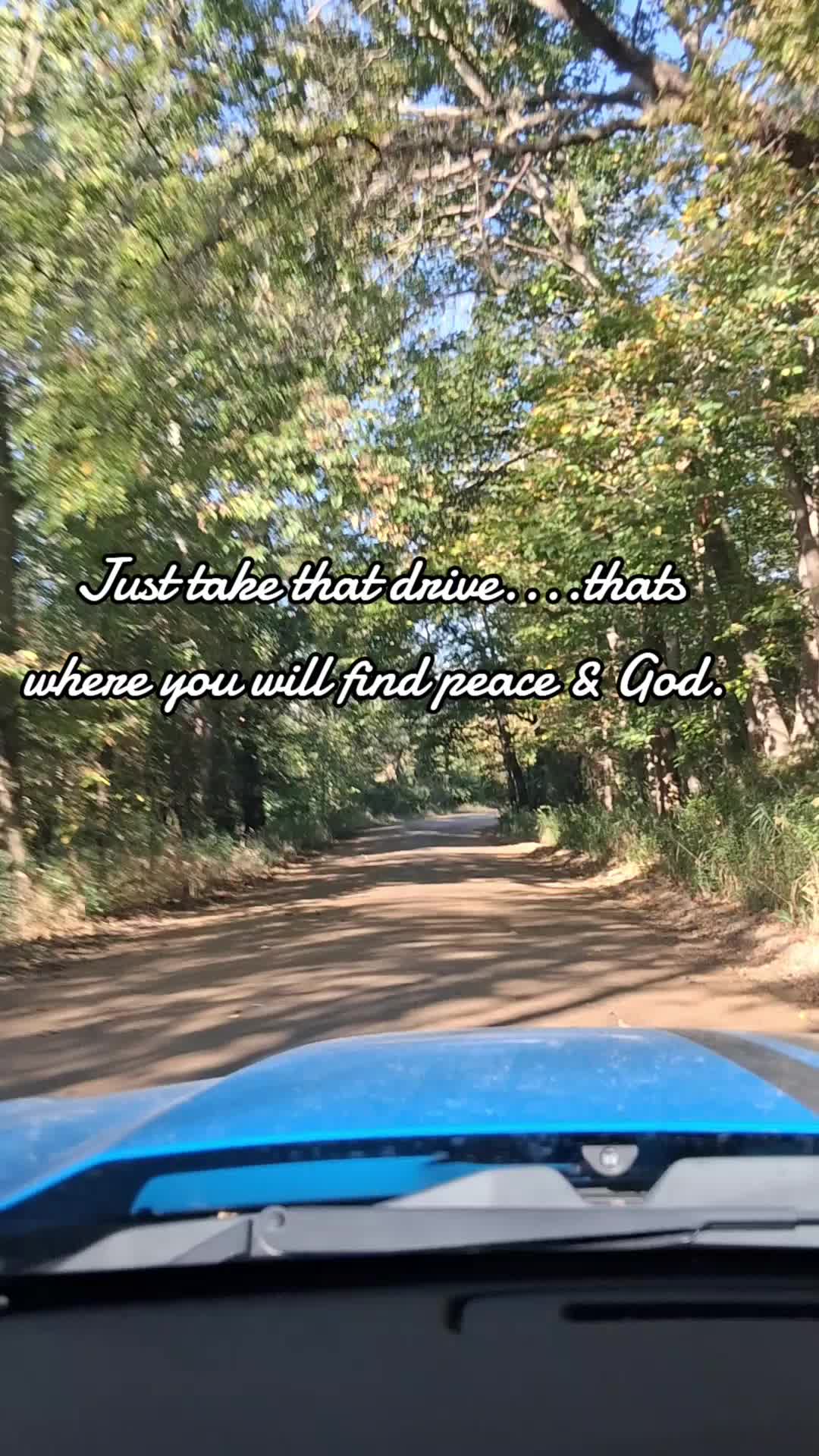 @stefanie