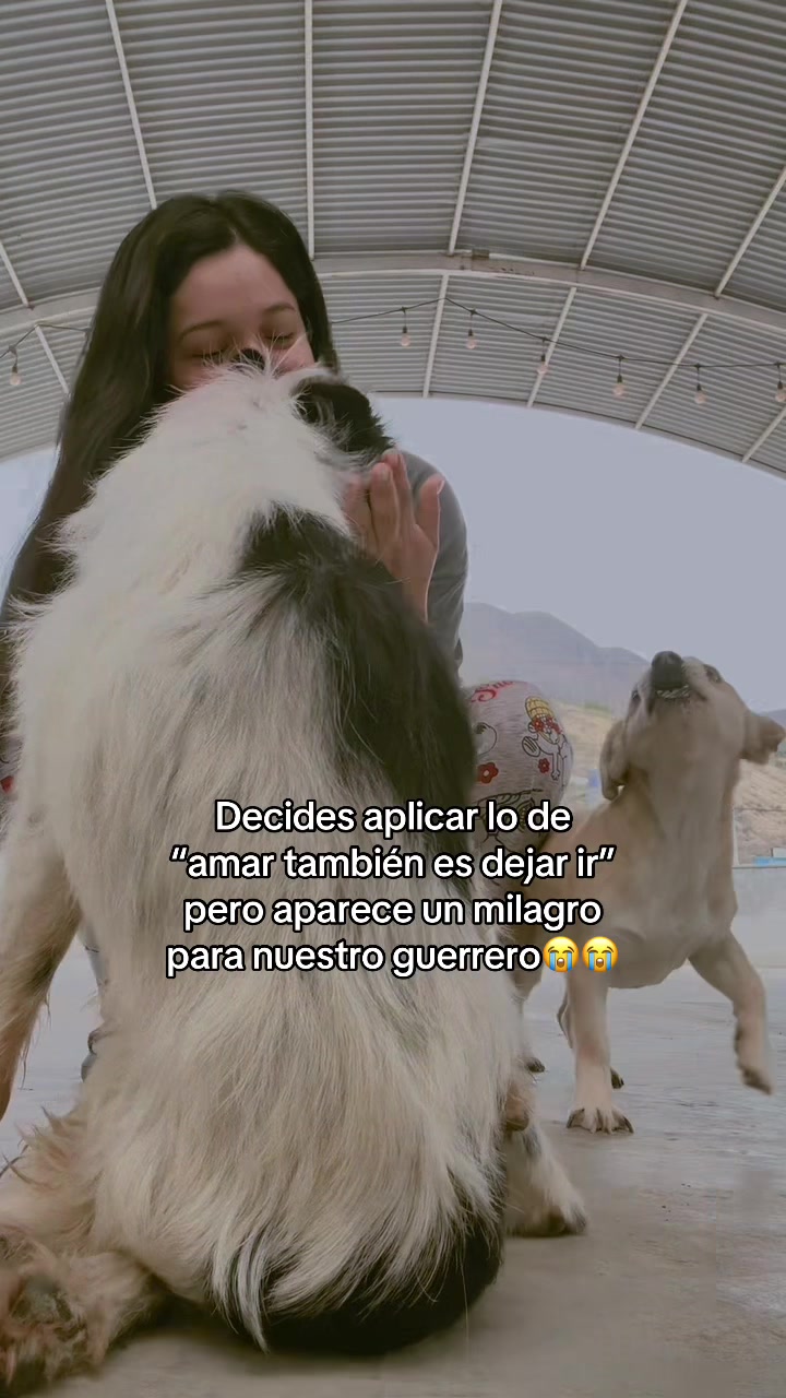 @Cómplices al rescate_11🐾