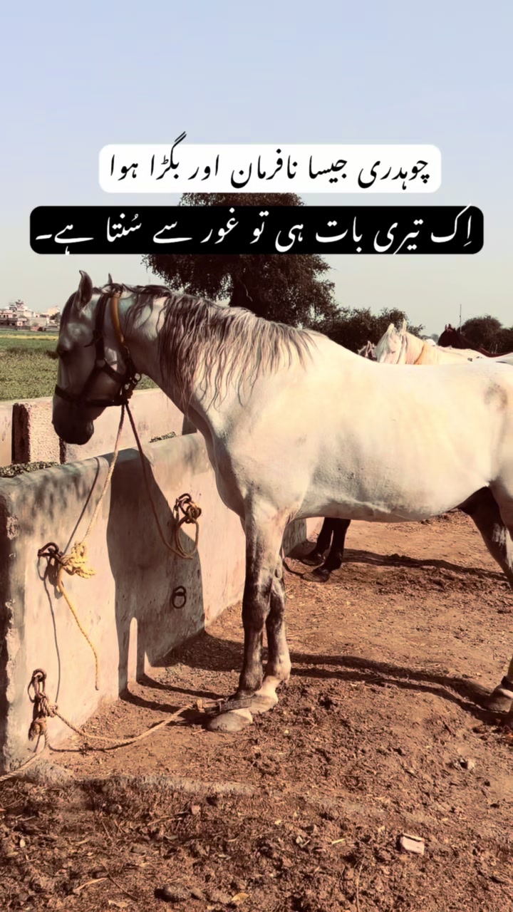 @چوہدری🪐