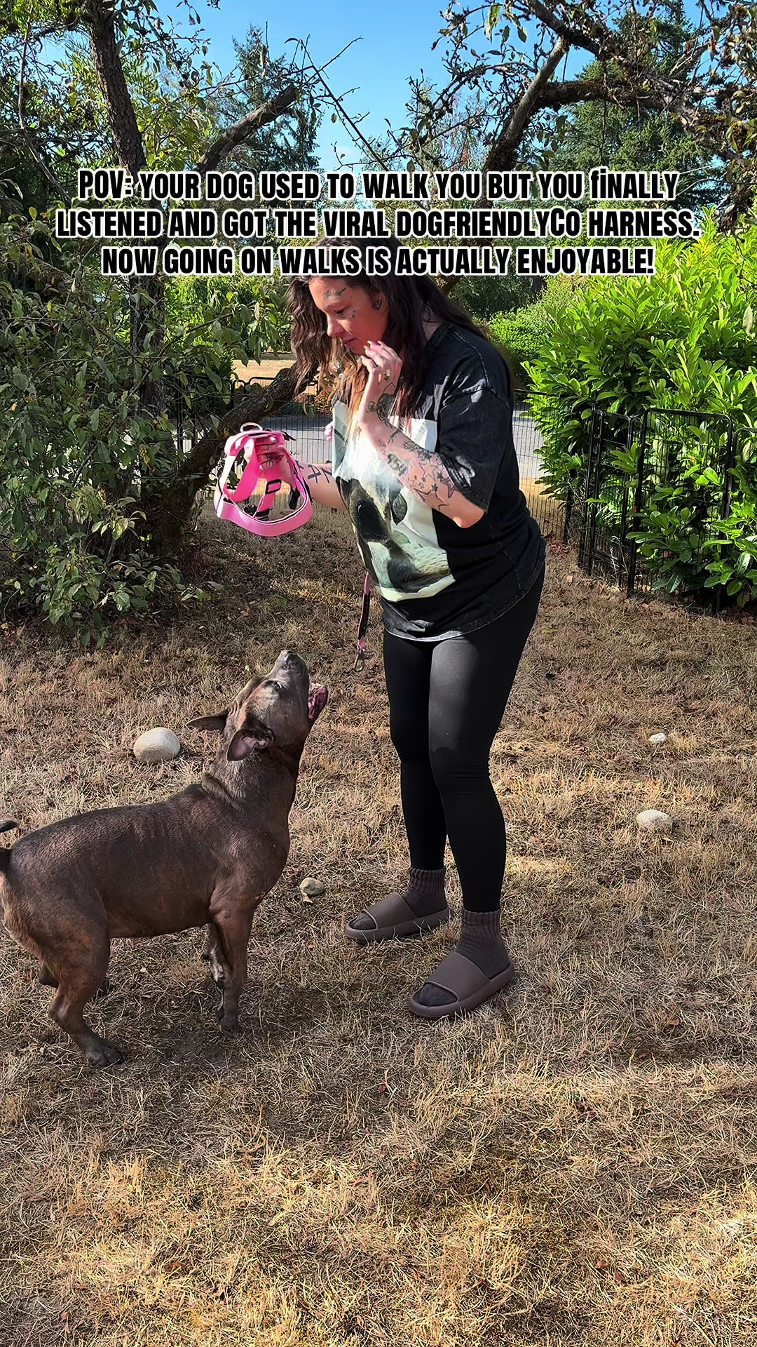 @kai&bull;thedogmother🐾