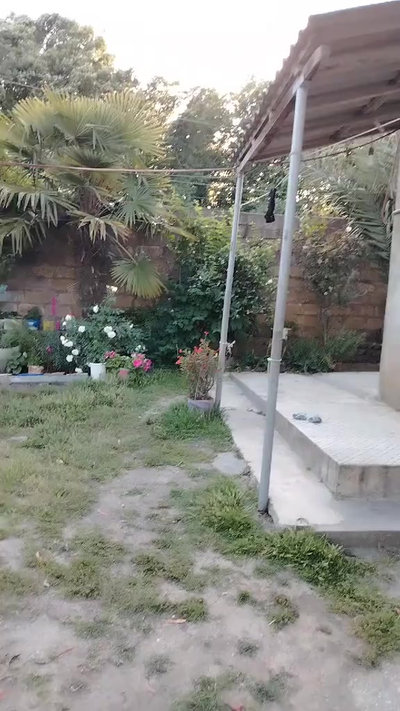 @aynurebagirova585