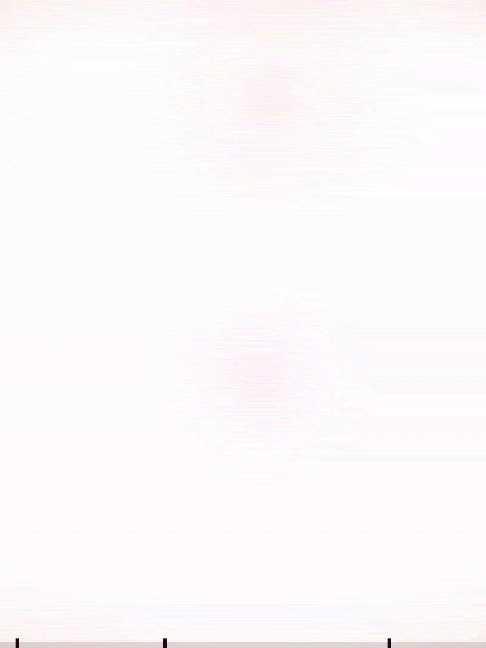 @vitalizateus
