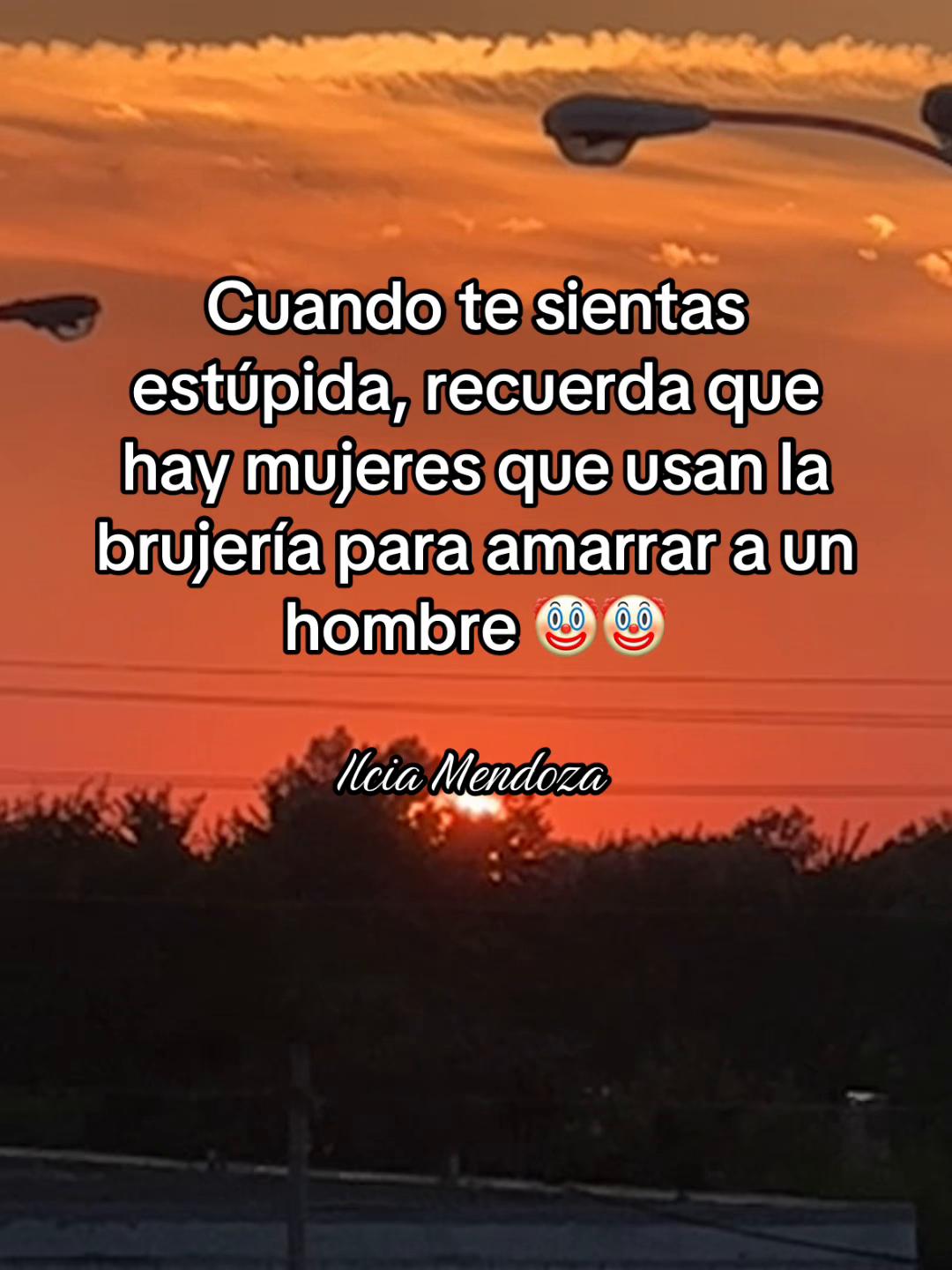 @Ilcia Mendoza🦋🌻🖤