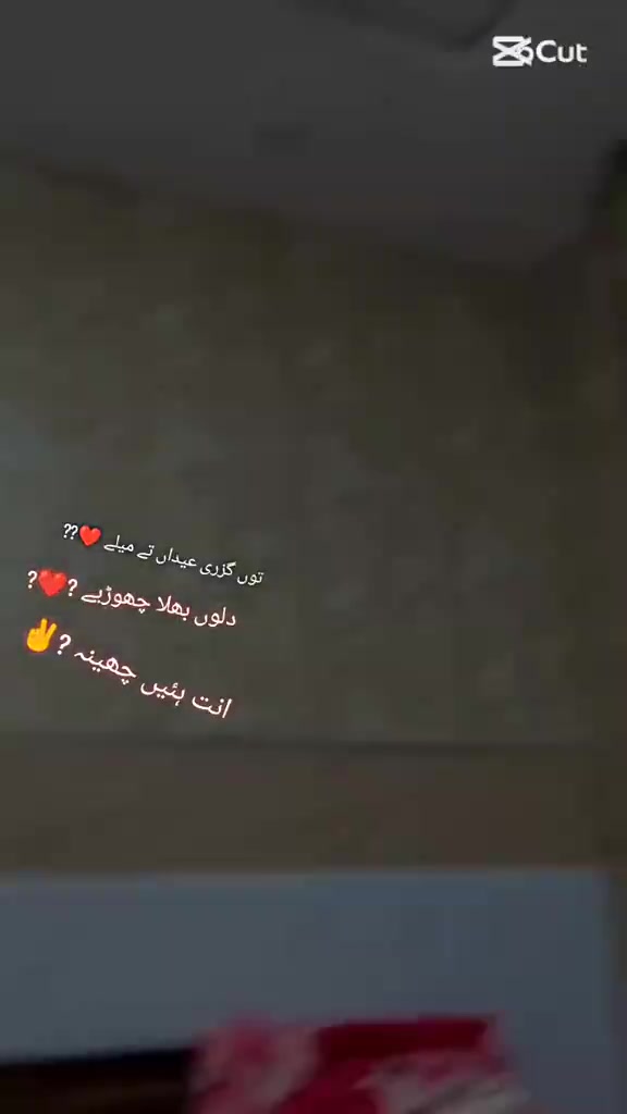 @عدیل رحمن لیہ وال کبوتر باز