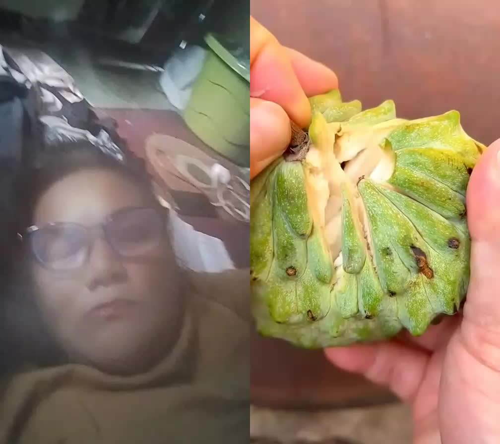@Yulika