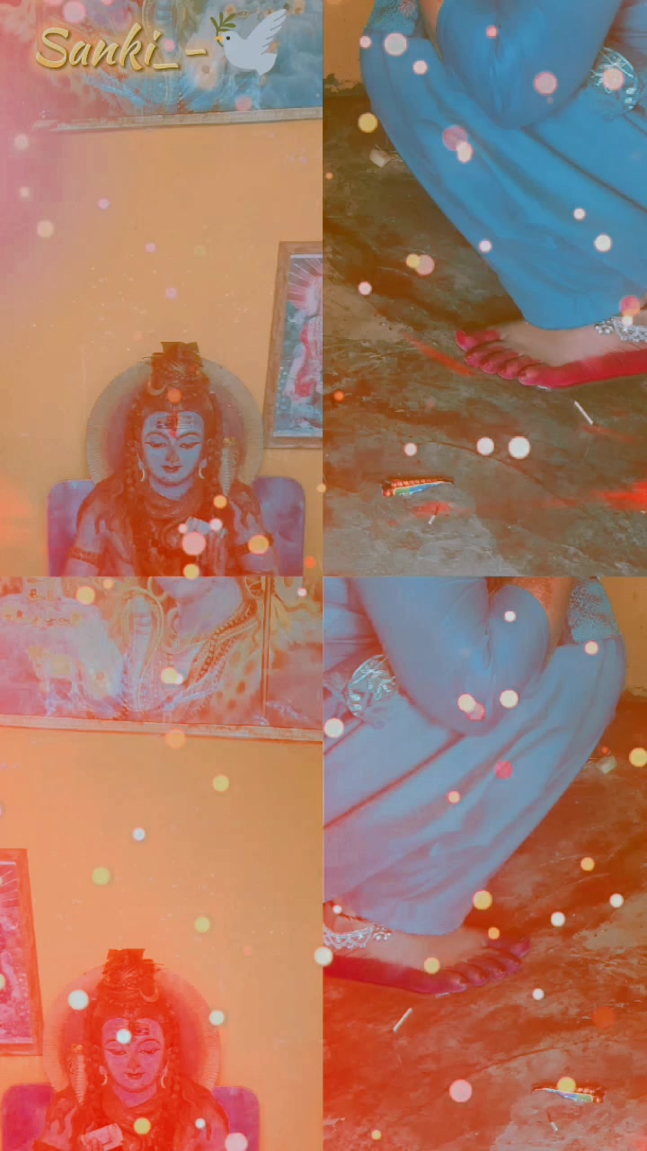 @aayushanmol530
