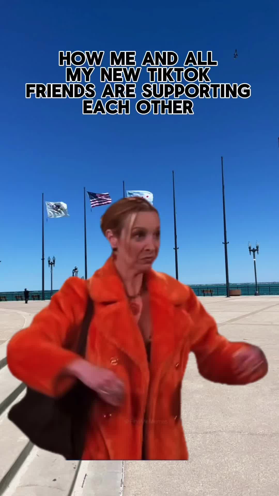 @chicagoviews312