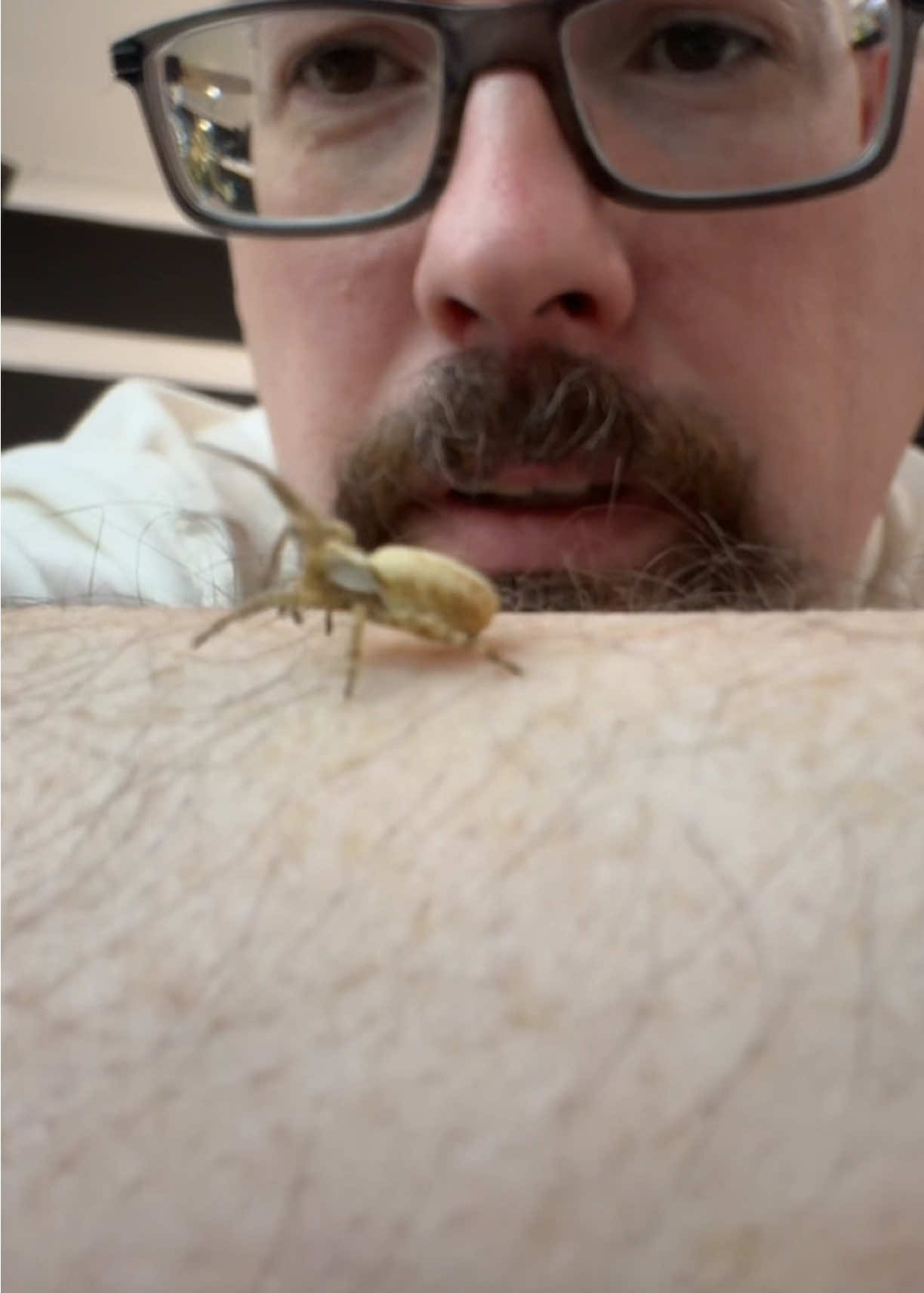 @Spider Conservatory