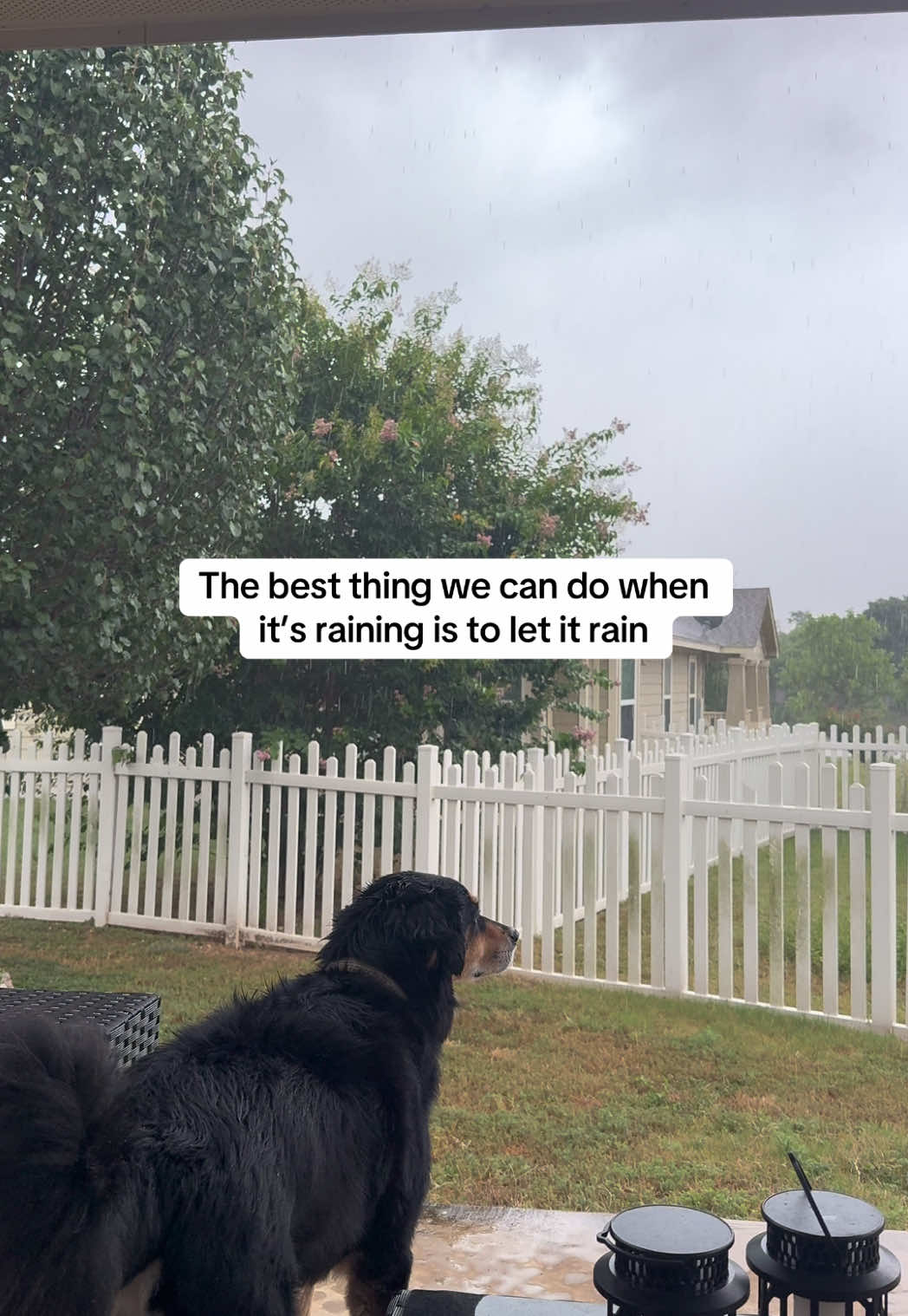 @BoopleTheSnoot