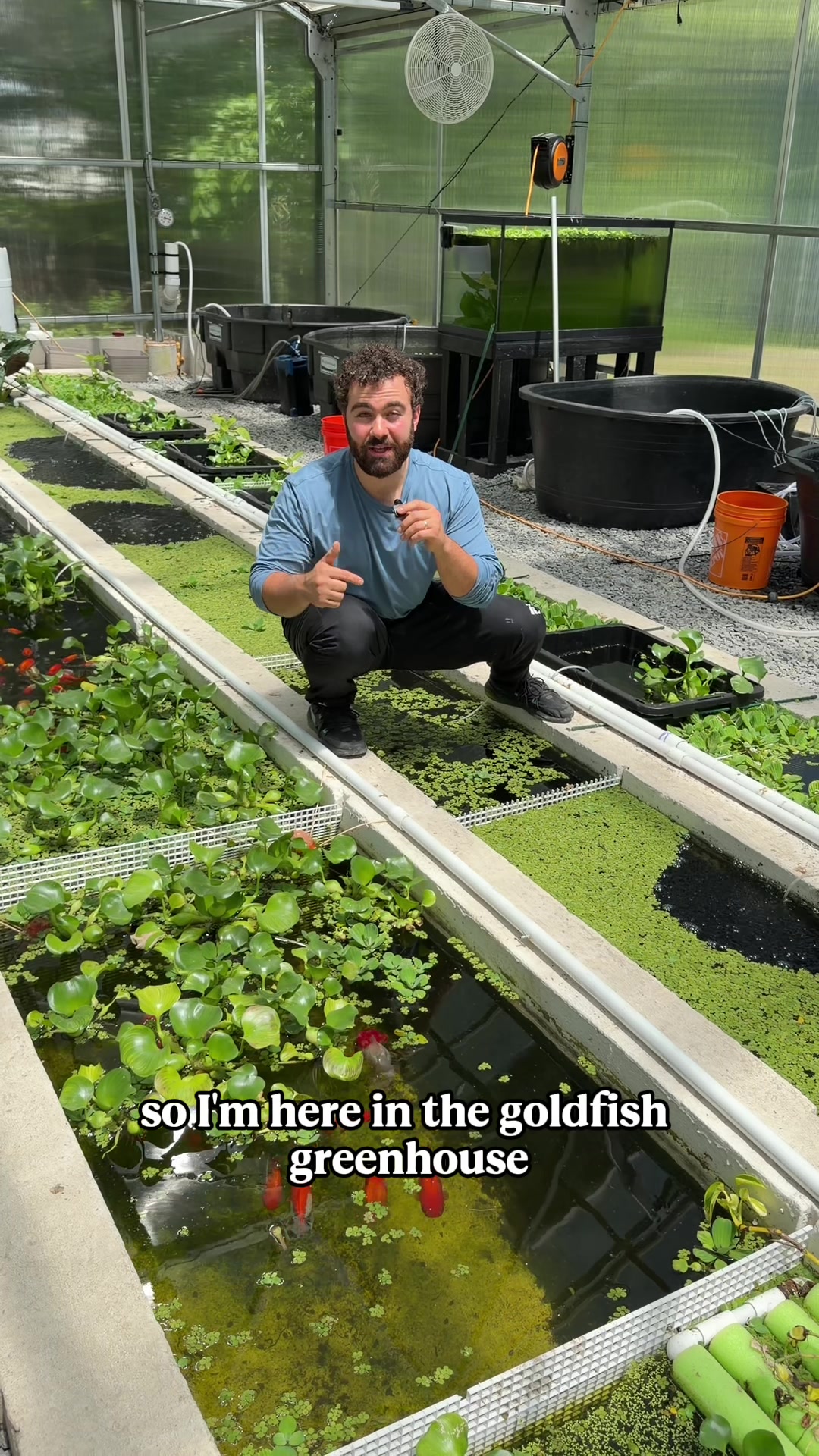 @The Goldfish Guy