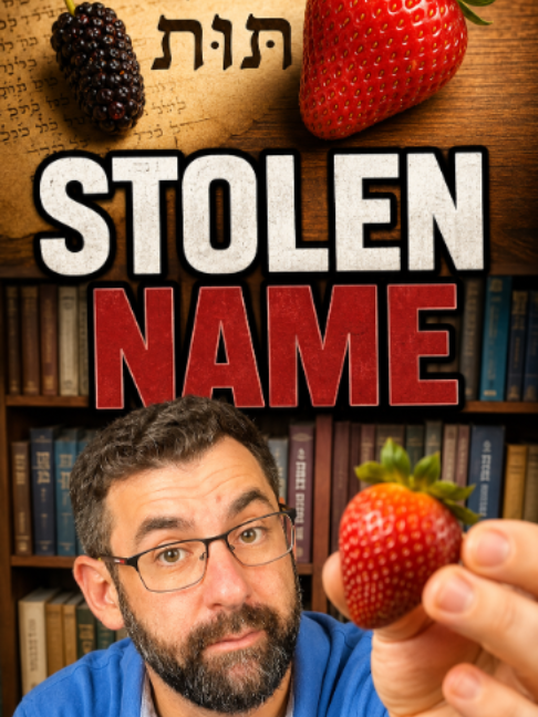 @Elon Gilad