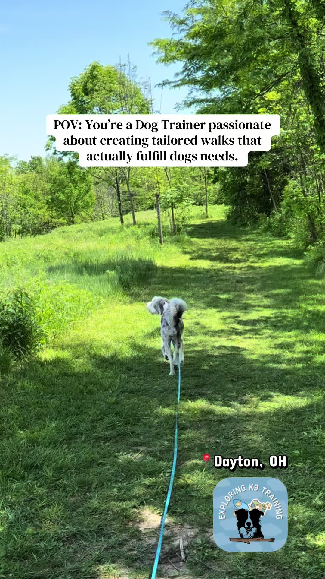 @Exploring K9 Training