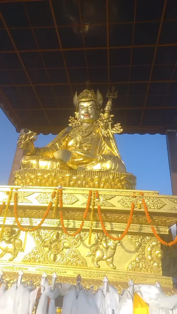 @Maya lama