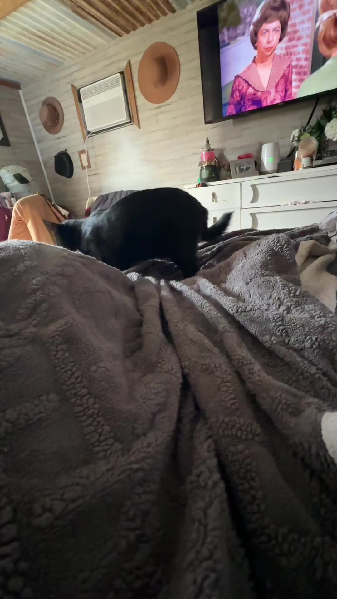 @texas_rose_yall_aka_meg