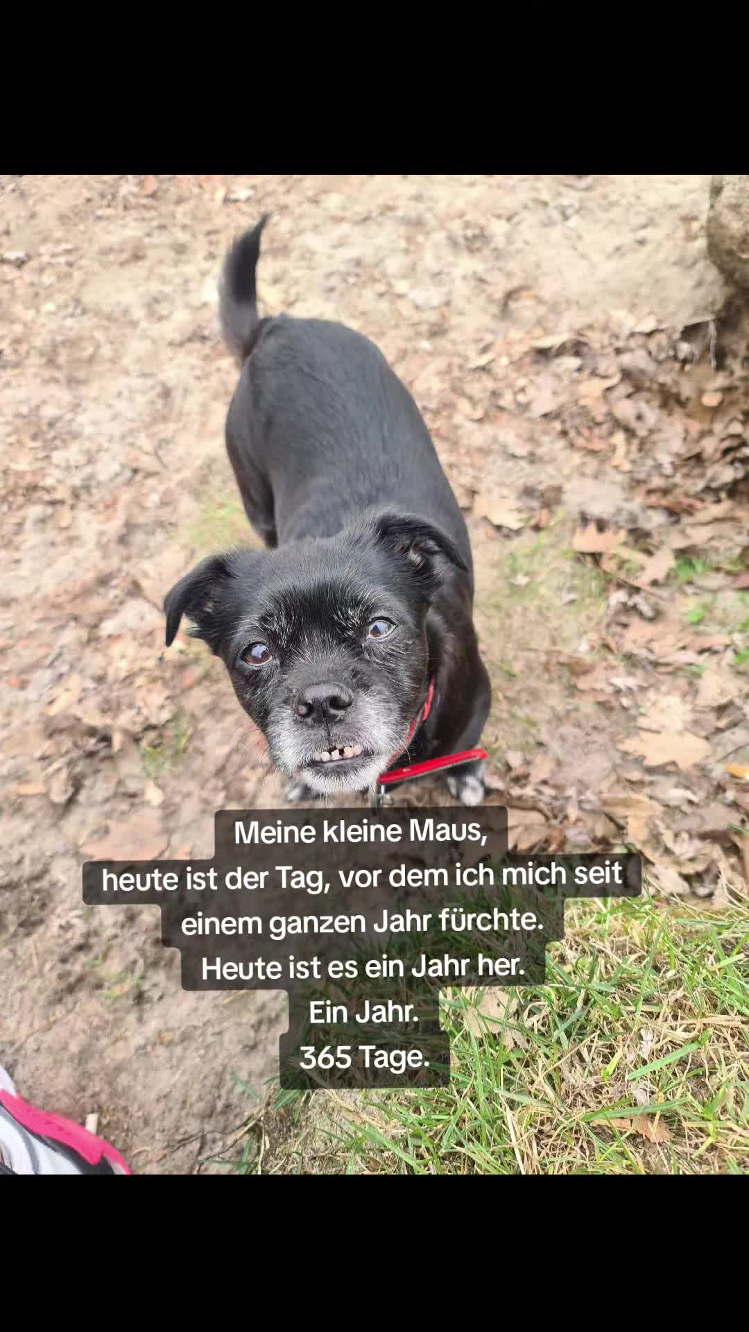 @Lost_Hope