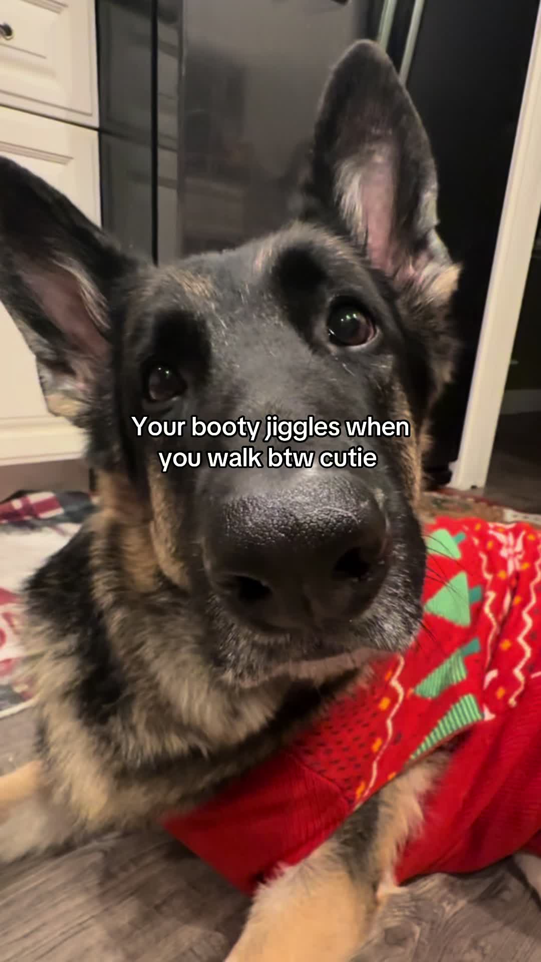 @Bhris