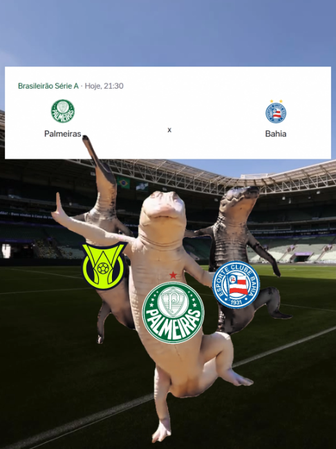 @SE Palmeiras