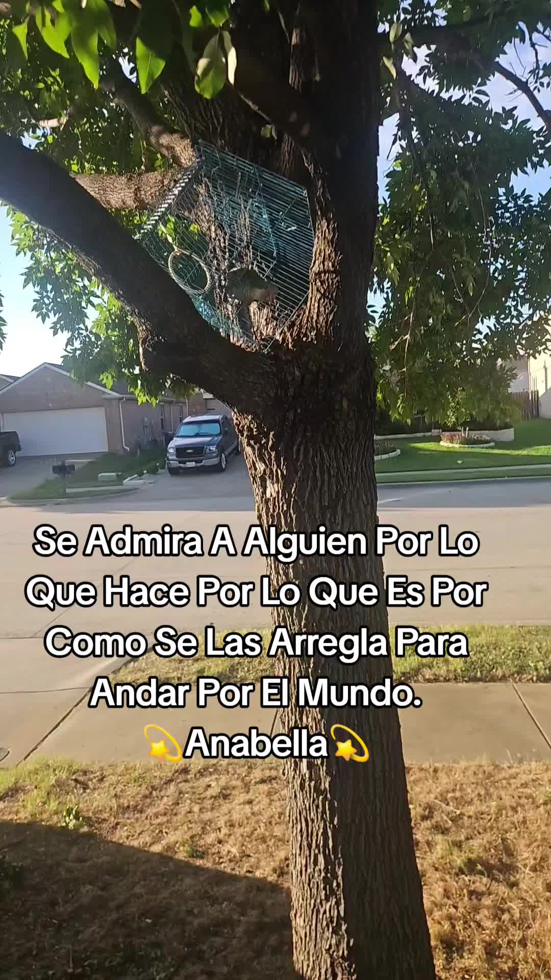 @🪬🫶🧿Anabella🪬🫶🧿